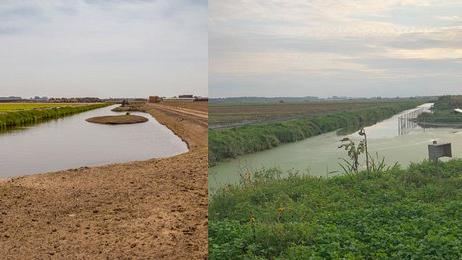 Bioversiteit in de Bollenpolder van de Toekomst