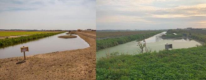 Bioversiteit in de Bollenpolder van de Toekomst