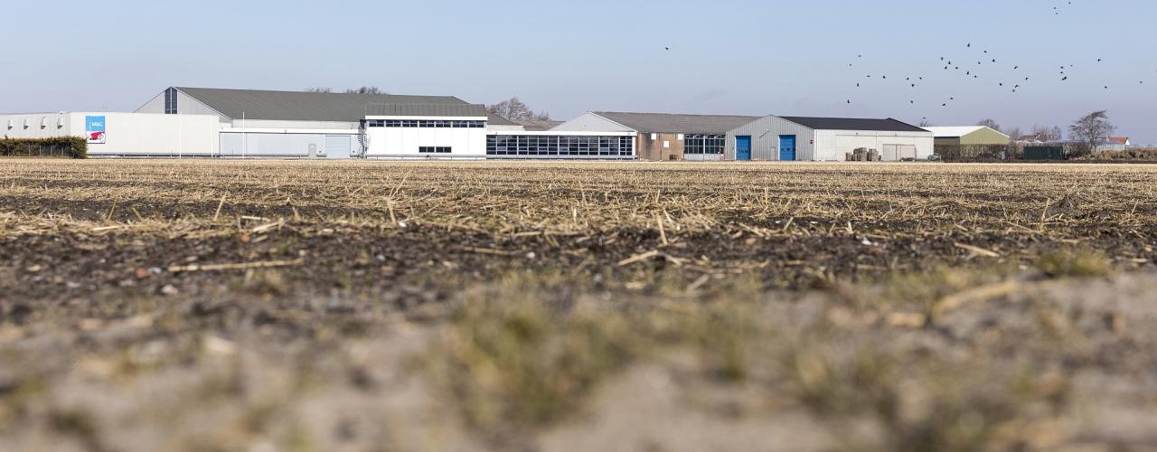 Pand M&G maakt plaats voor open bollenlandschap