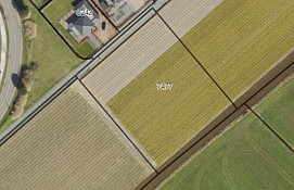 Eikenhorstlaan 7