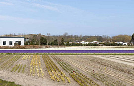 Langevelderlaan  6A